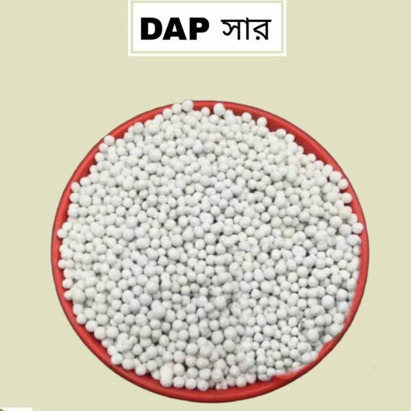 ডিএপি(DAP)