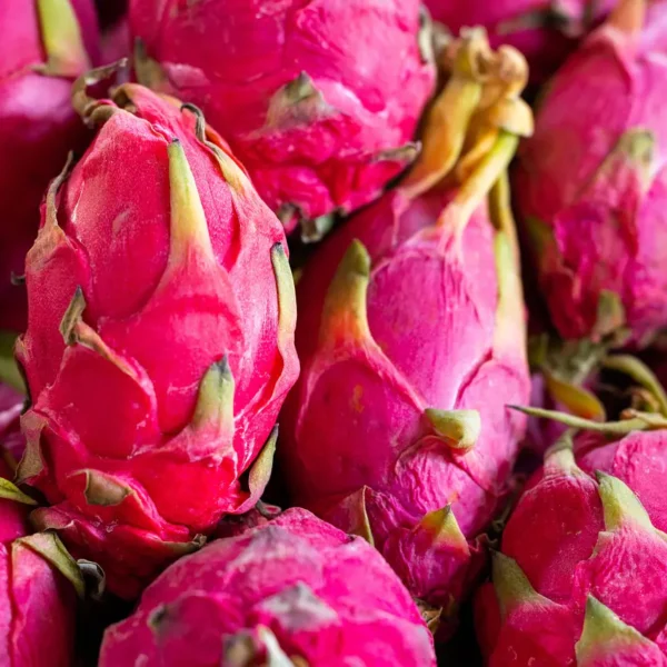 ড্রাগন