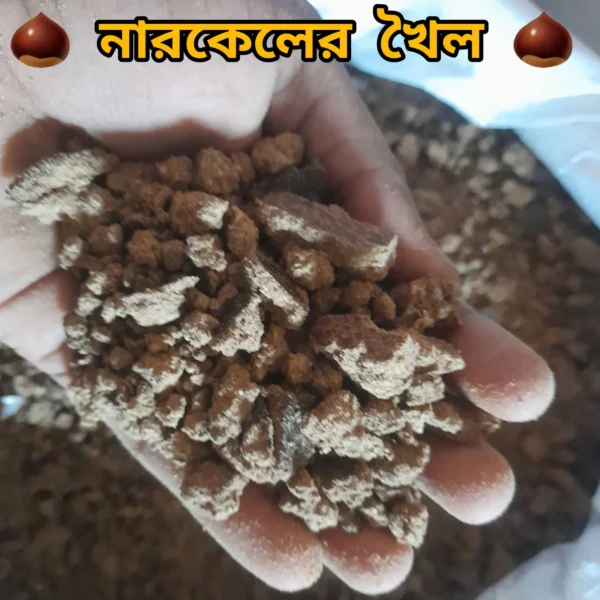 নজরুল খৈল