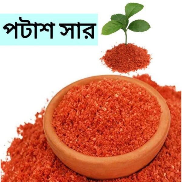 এমওপি/পটাশ সার