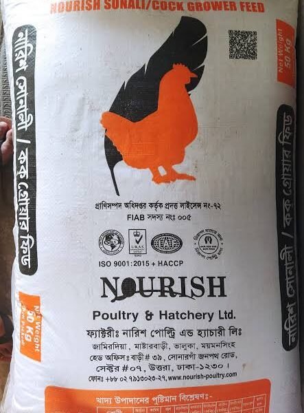 নারিশ সোনালি স্টাটর্টার ফিড