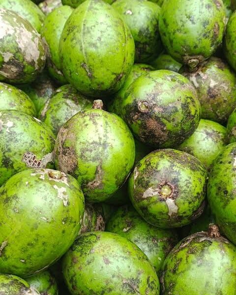 আমড়া