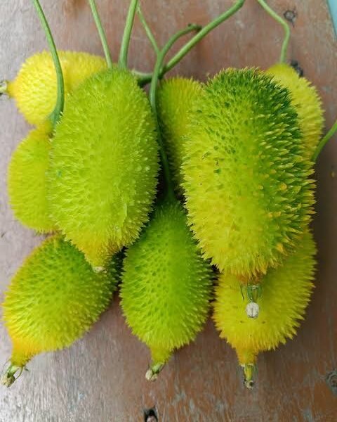 কাকরল