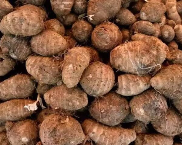 ছড়া লাল